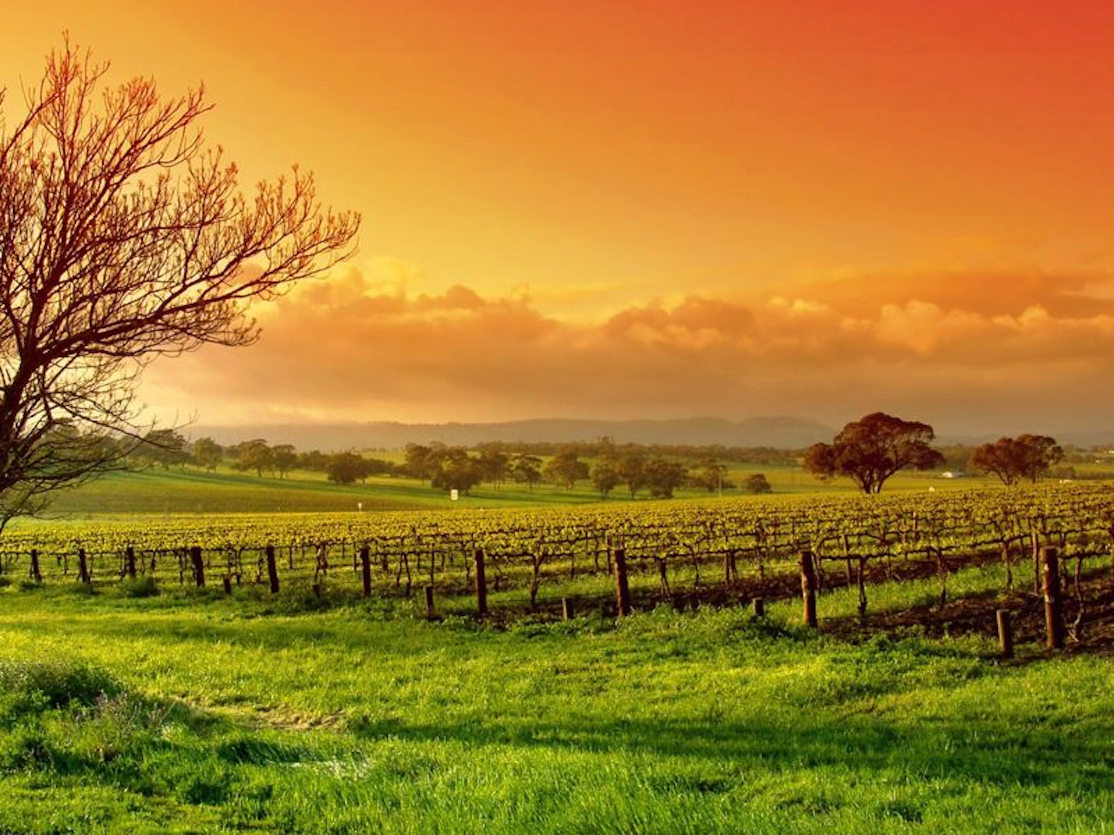 Merry Heart CBR - Main image