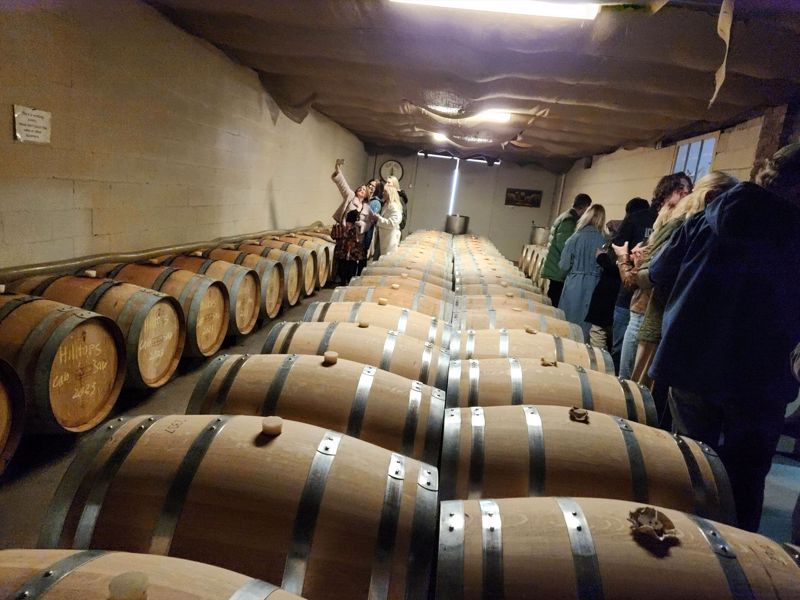 Merry Heart CBR - Image 3