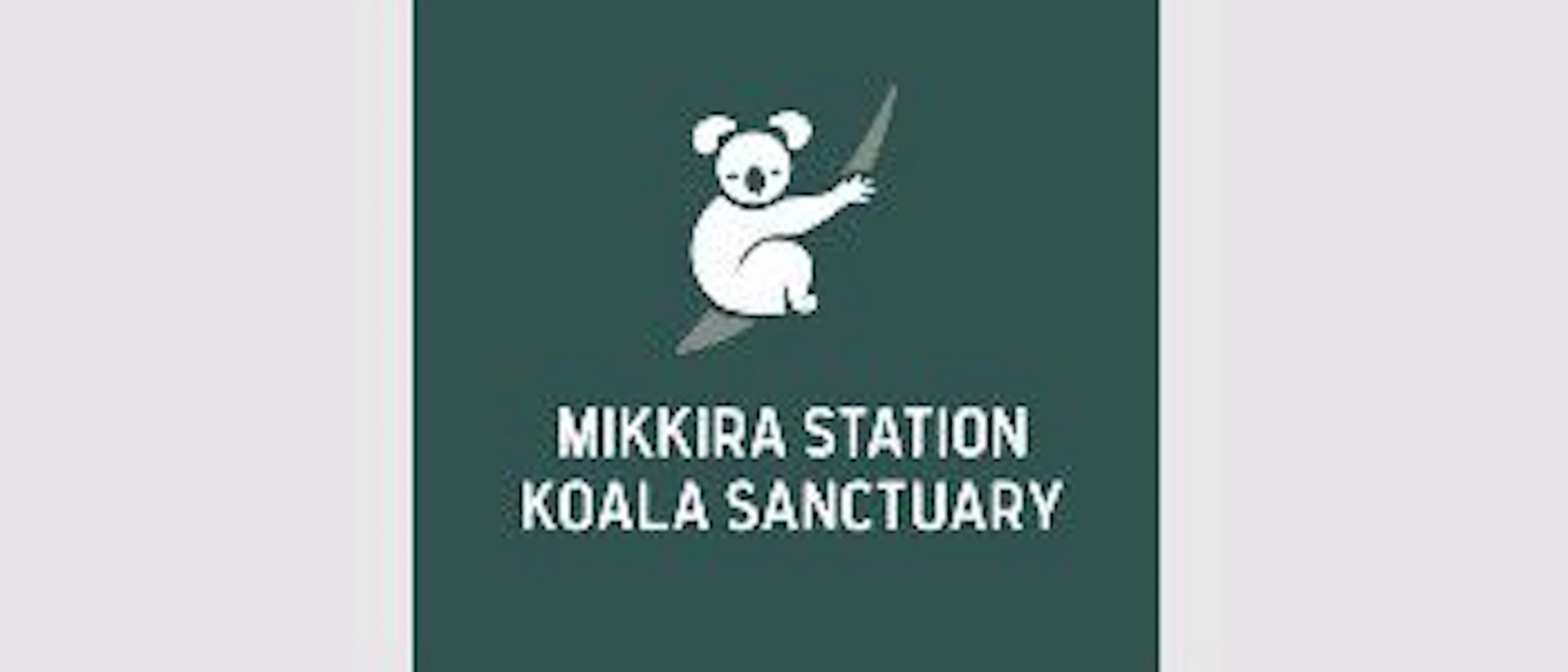 Mikkira Station Koala Sanctuary Tours - Main image