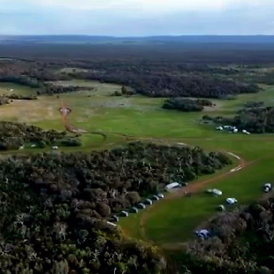 Mikkira Station Koala Sanctuary Tours - Image 2