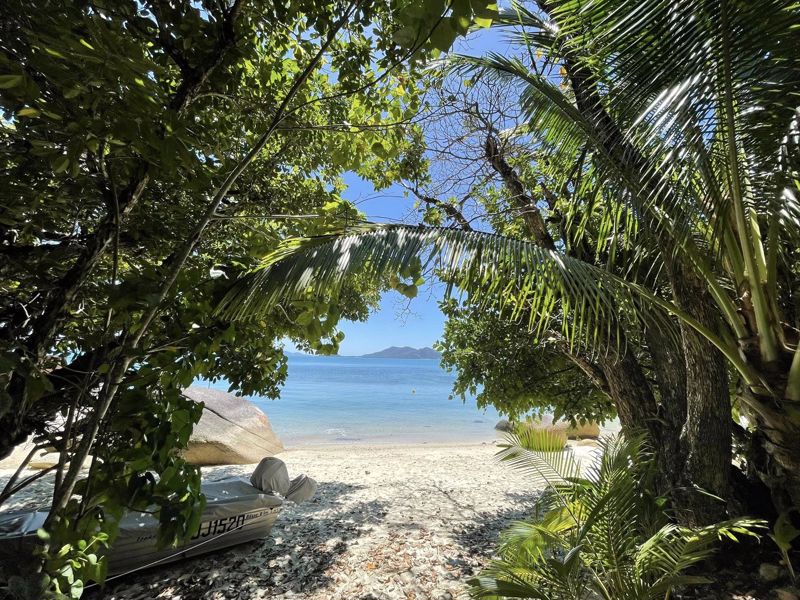 Mission Beach Adventures - Image 3