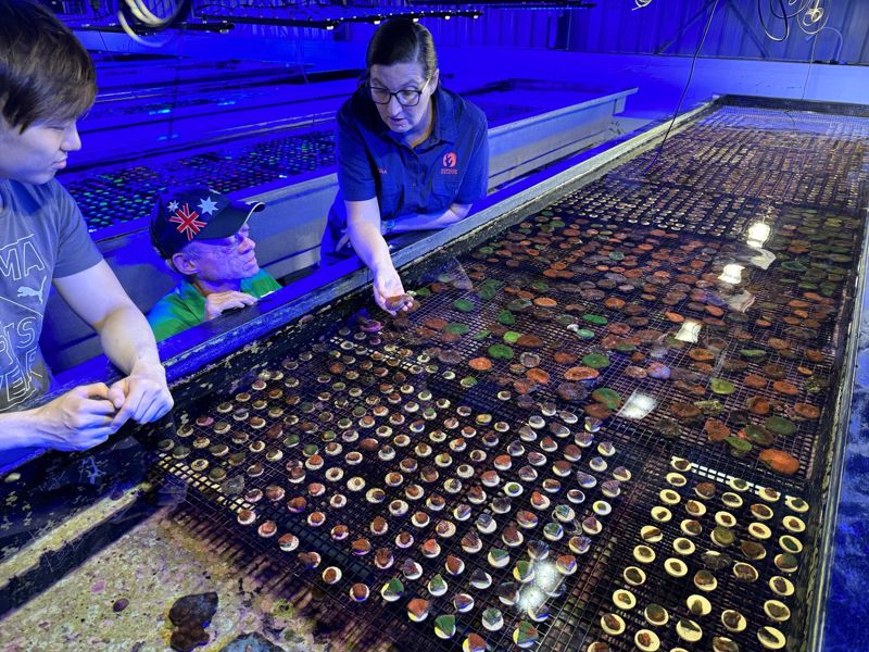 Monsoon Aquatics - Main image