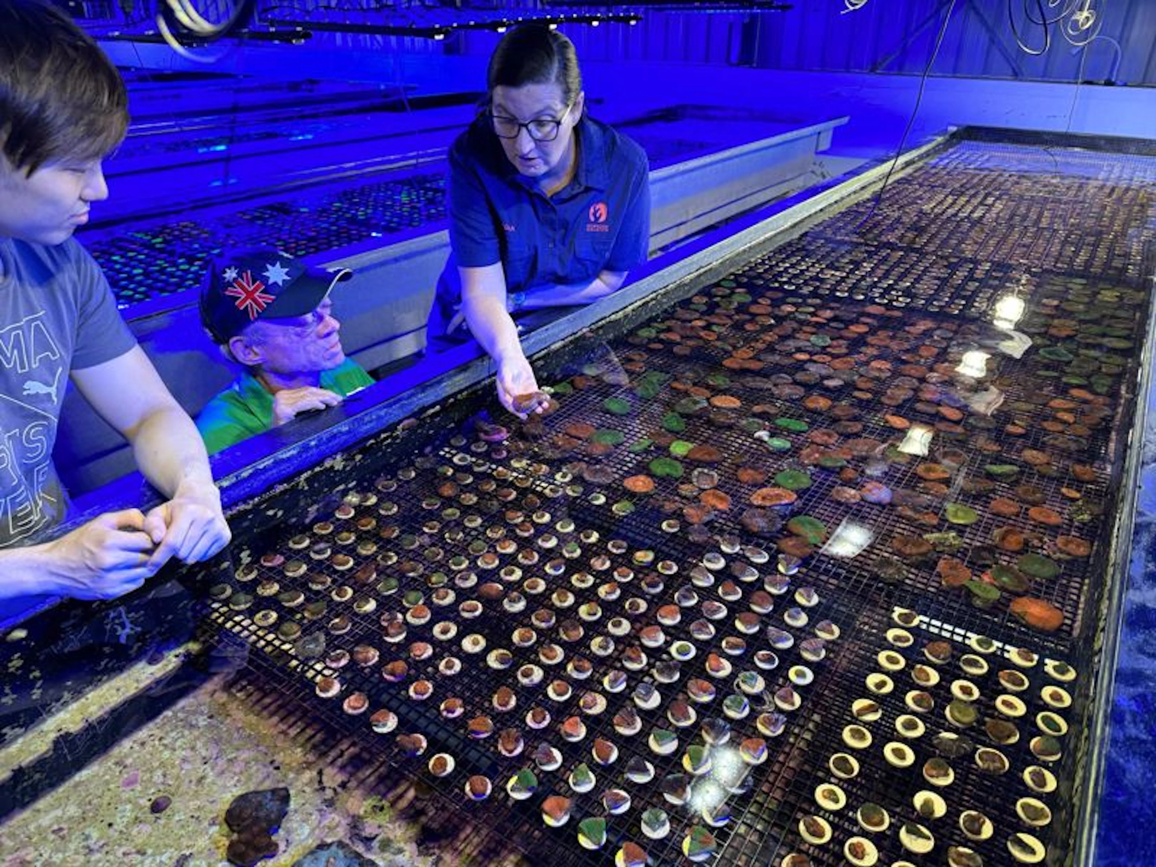 Monsoon Aquatics - Main image