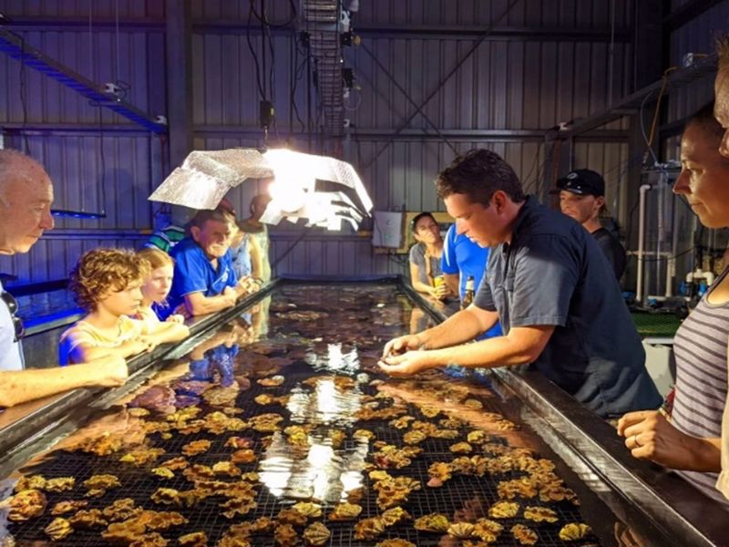 Monsoon Aquatics - Image 3