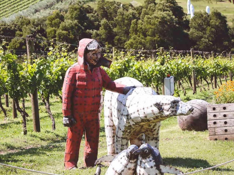 Montalto Vineyard & Olive Grove