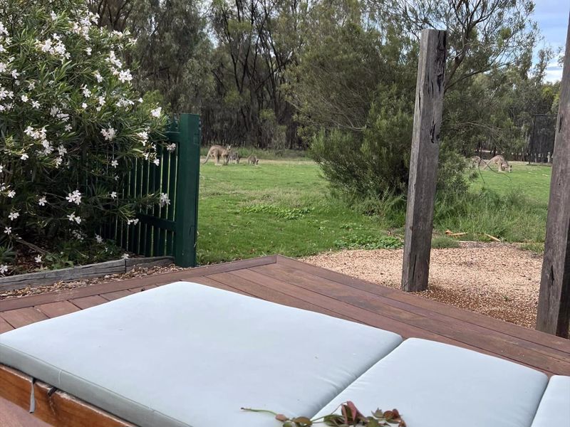 Murray River Holiday Park - Image 3