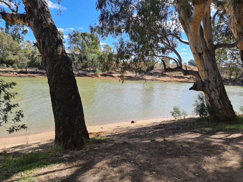 Murray River Holiday Park - Image 4