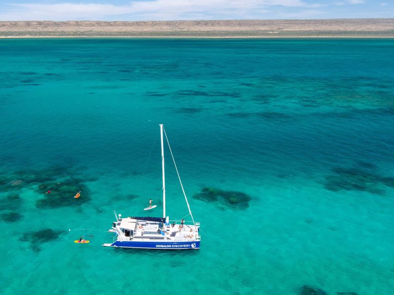 Ningaloo Discovery - Image 3