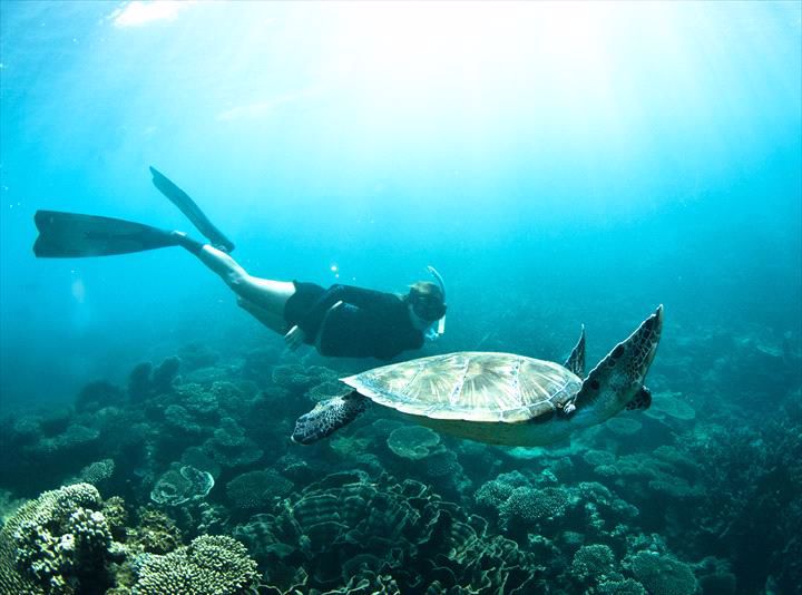 Ningaloo Discovery - Image 5