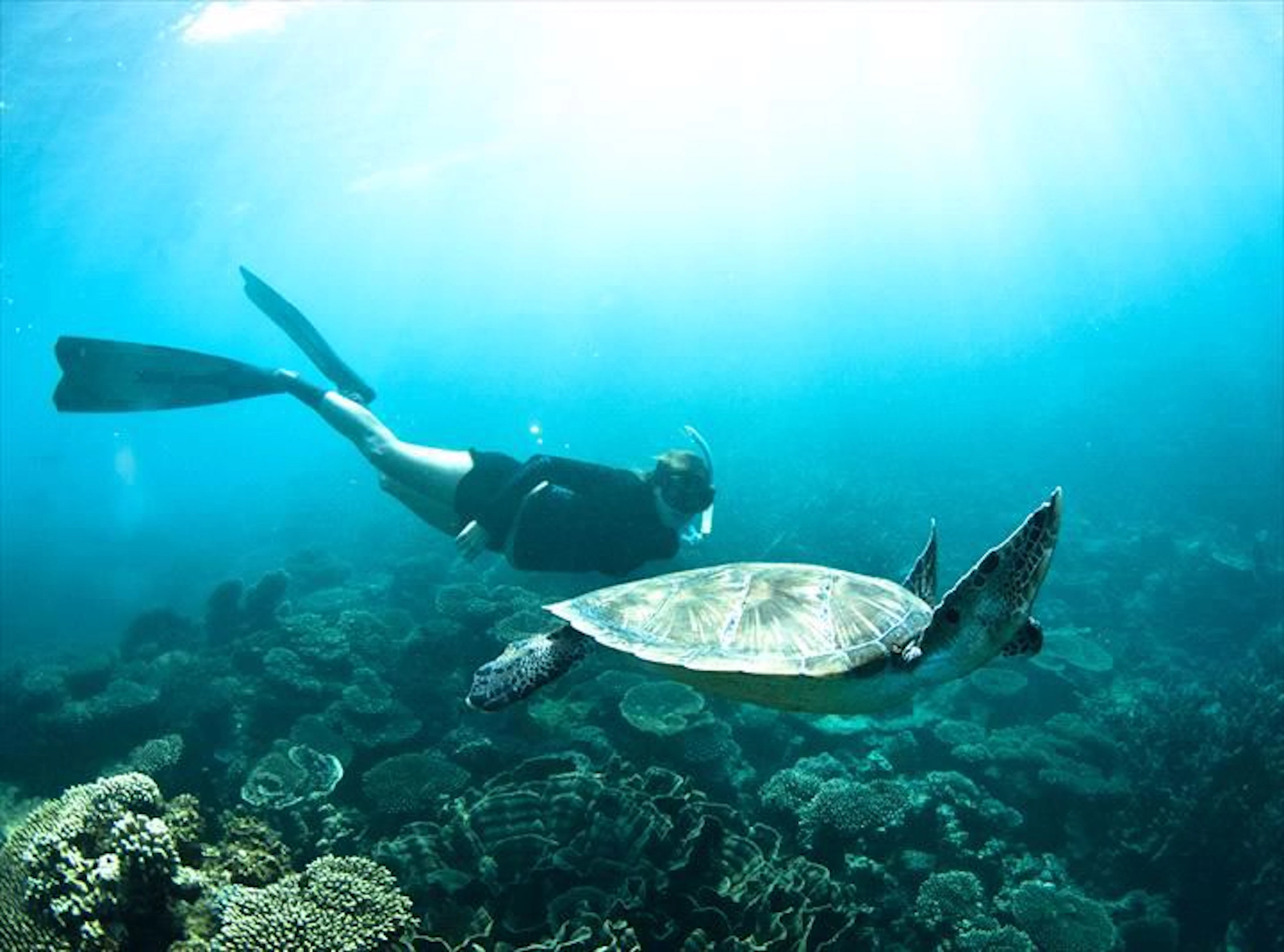 Ningaloo Discovery - Image 5