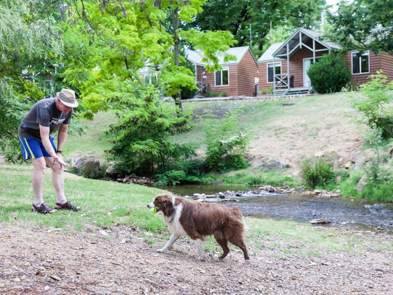 NRMA Bright Holiday Park - Image 2