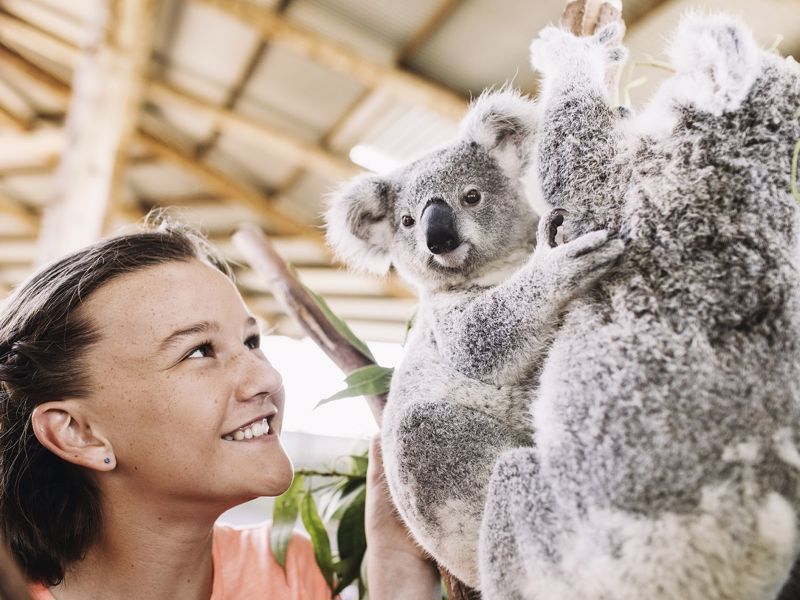 Oakvale Wildlife Park - Main image