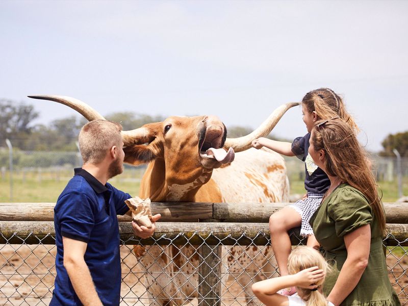 Oakvale Wildlife Park - Image 2