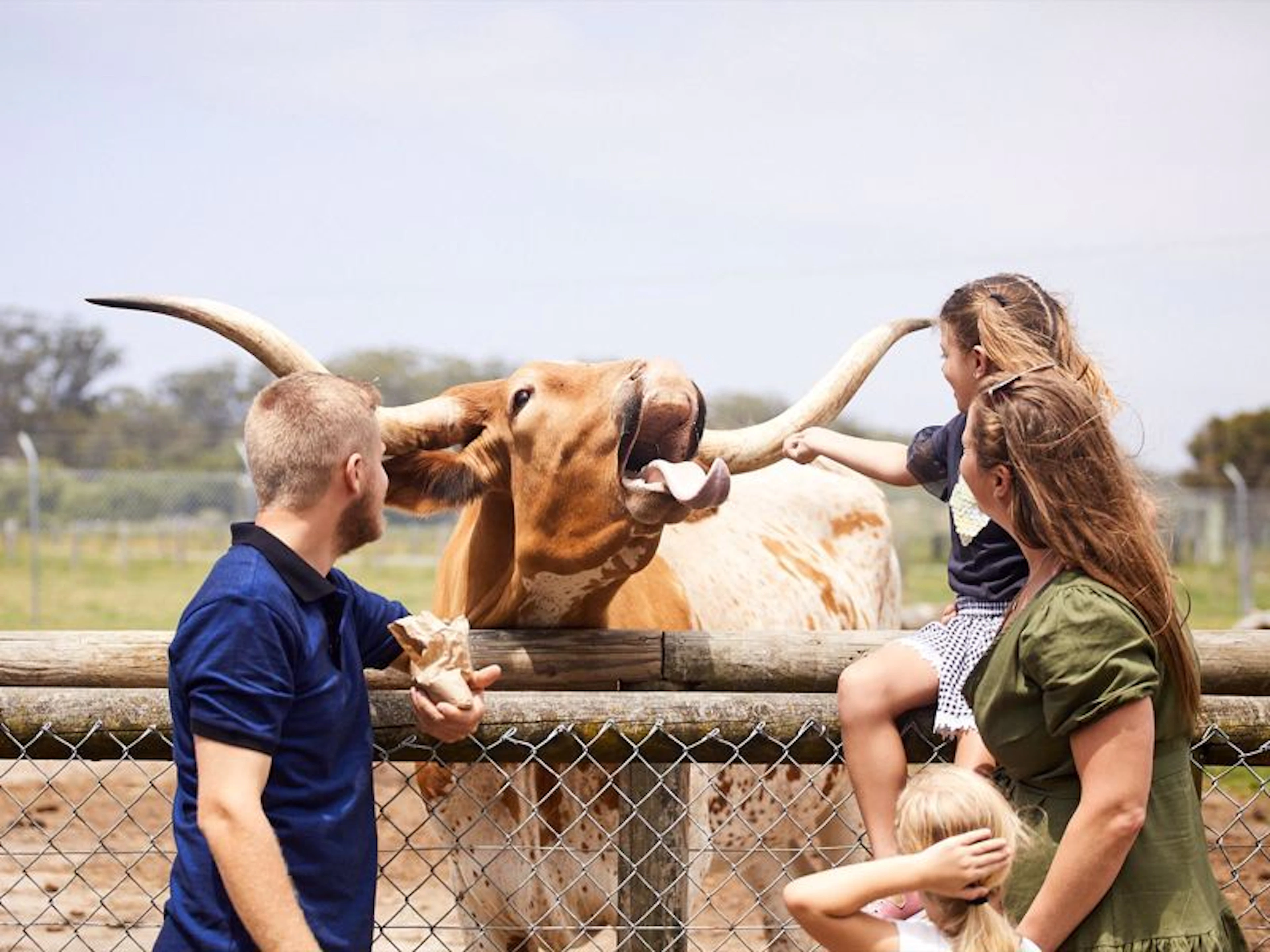 Oakvale Wildlife Park - Image 2