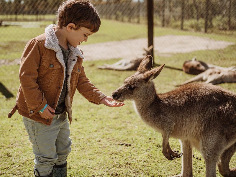 Oakvale Wildlife Park - Image 4
