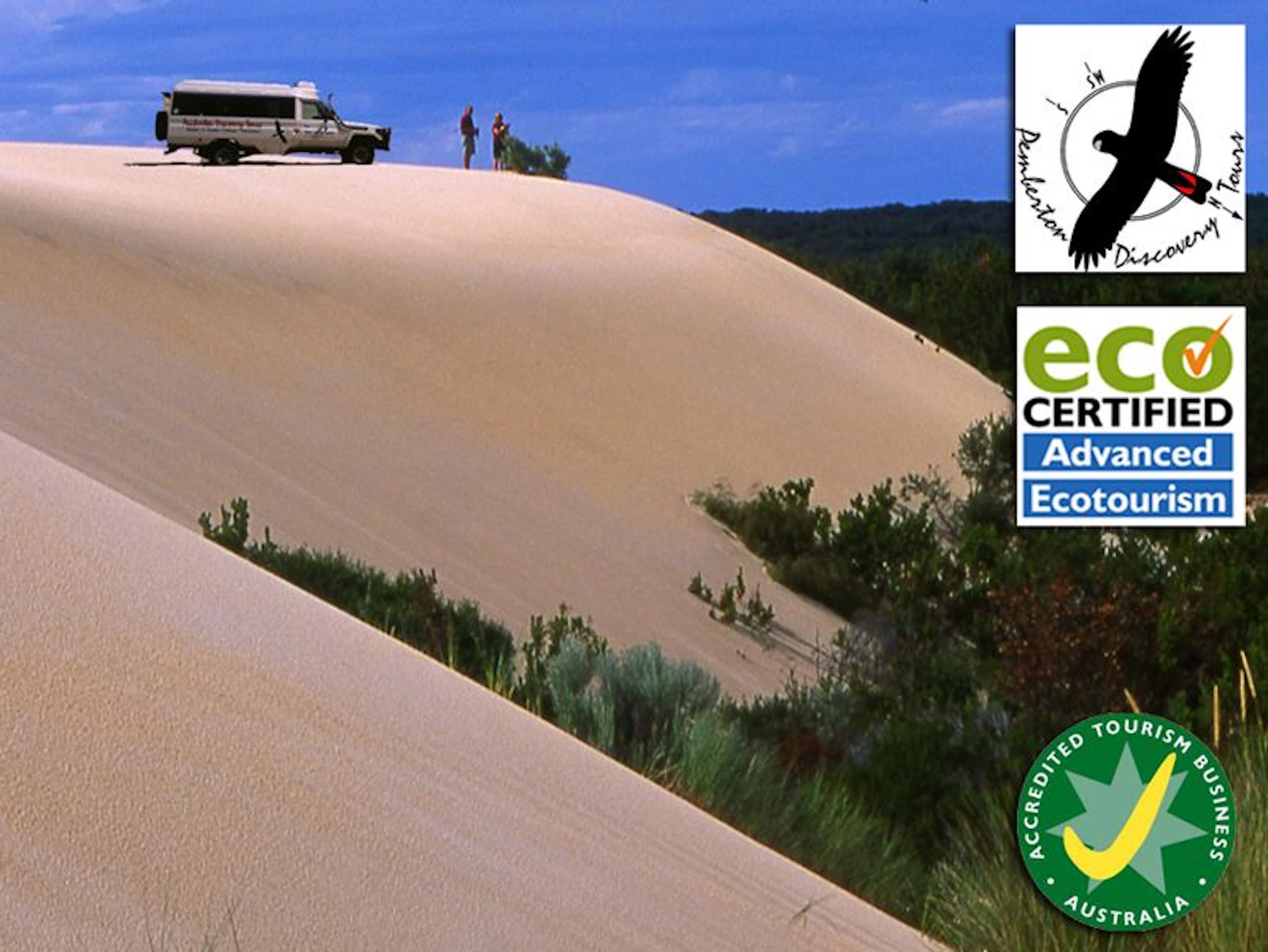 Pemberton Discovery Tours - Main image