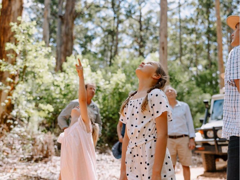 Pemberton Discovery Tours - Image 3