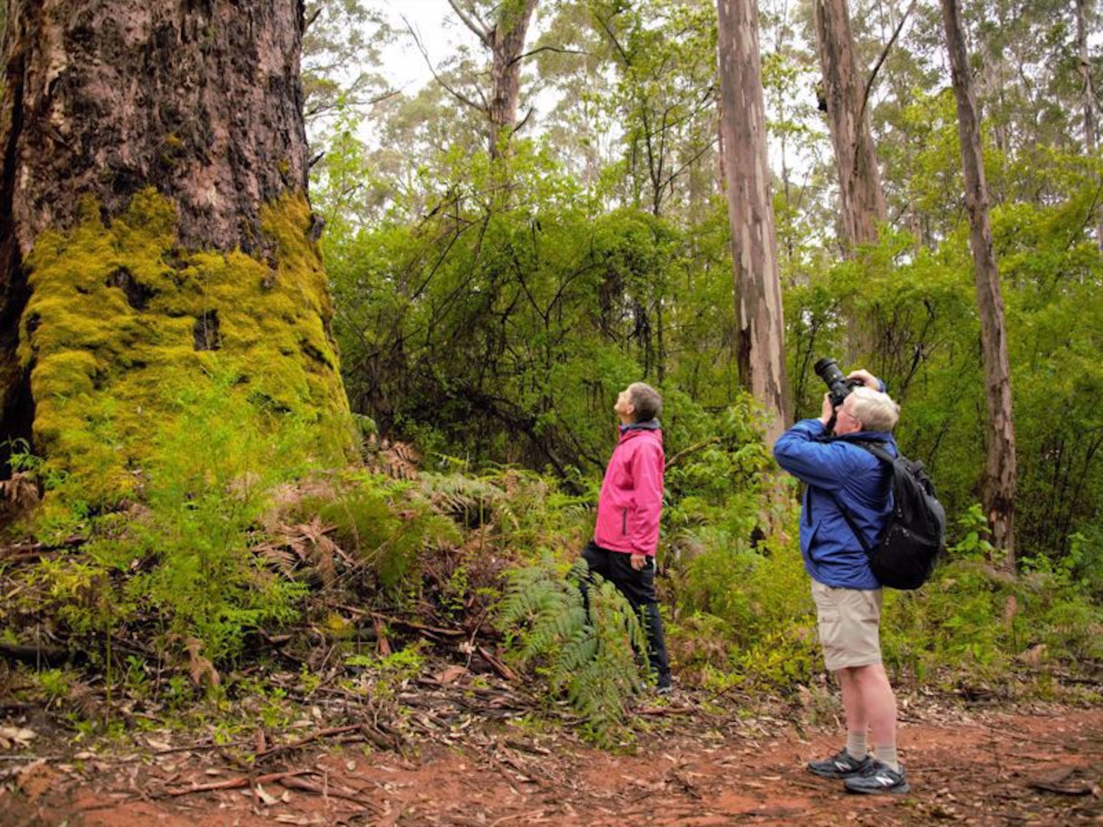 Pemberton Discovery Tours - Image 4