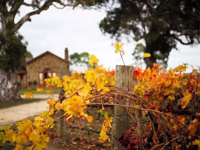 Penola Coonawarra Caravan Park - Image 4