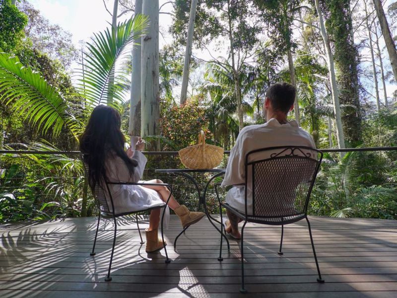 Pethers Rainforest Retreat - Image 3
