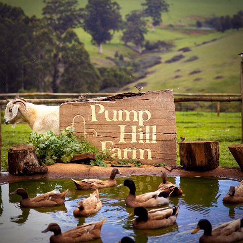 Pump Hill Farm Cottages - Image 2