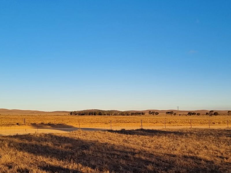 Quentin Park Alpacas and Farm Stay