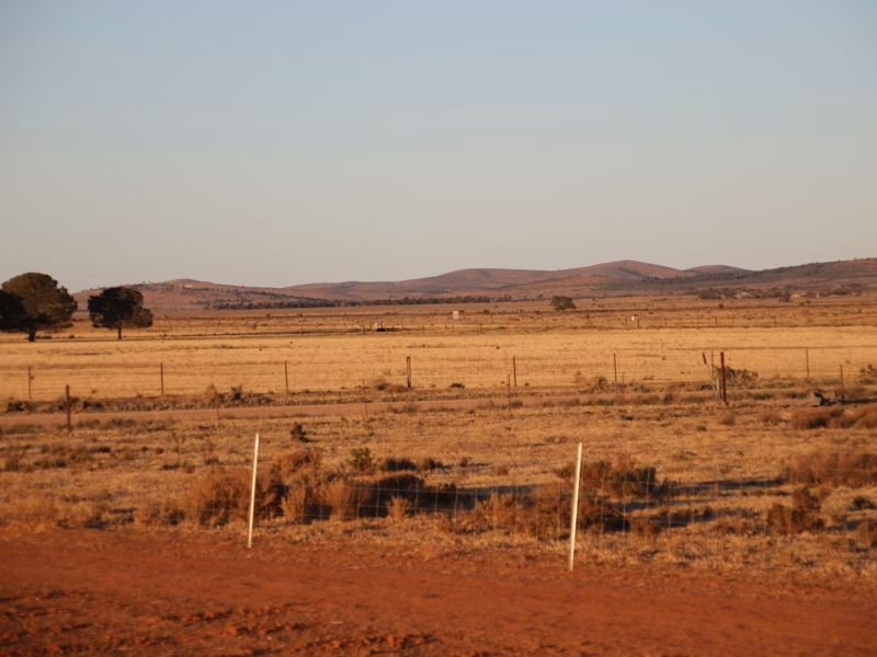 Quentin Park Alpacas and Farm Stay - Image 2
