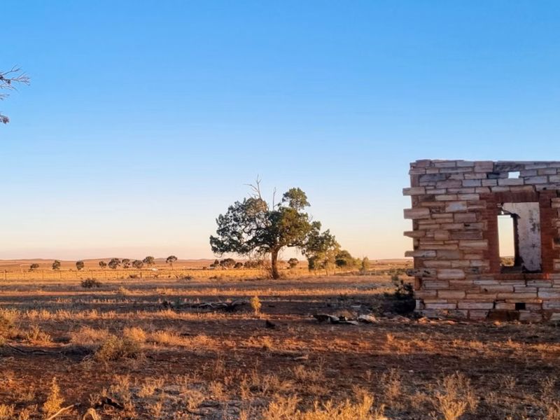 Quentin Park Alpacas and Farm Stay - Image 3