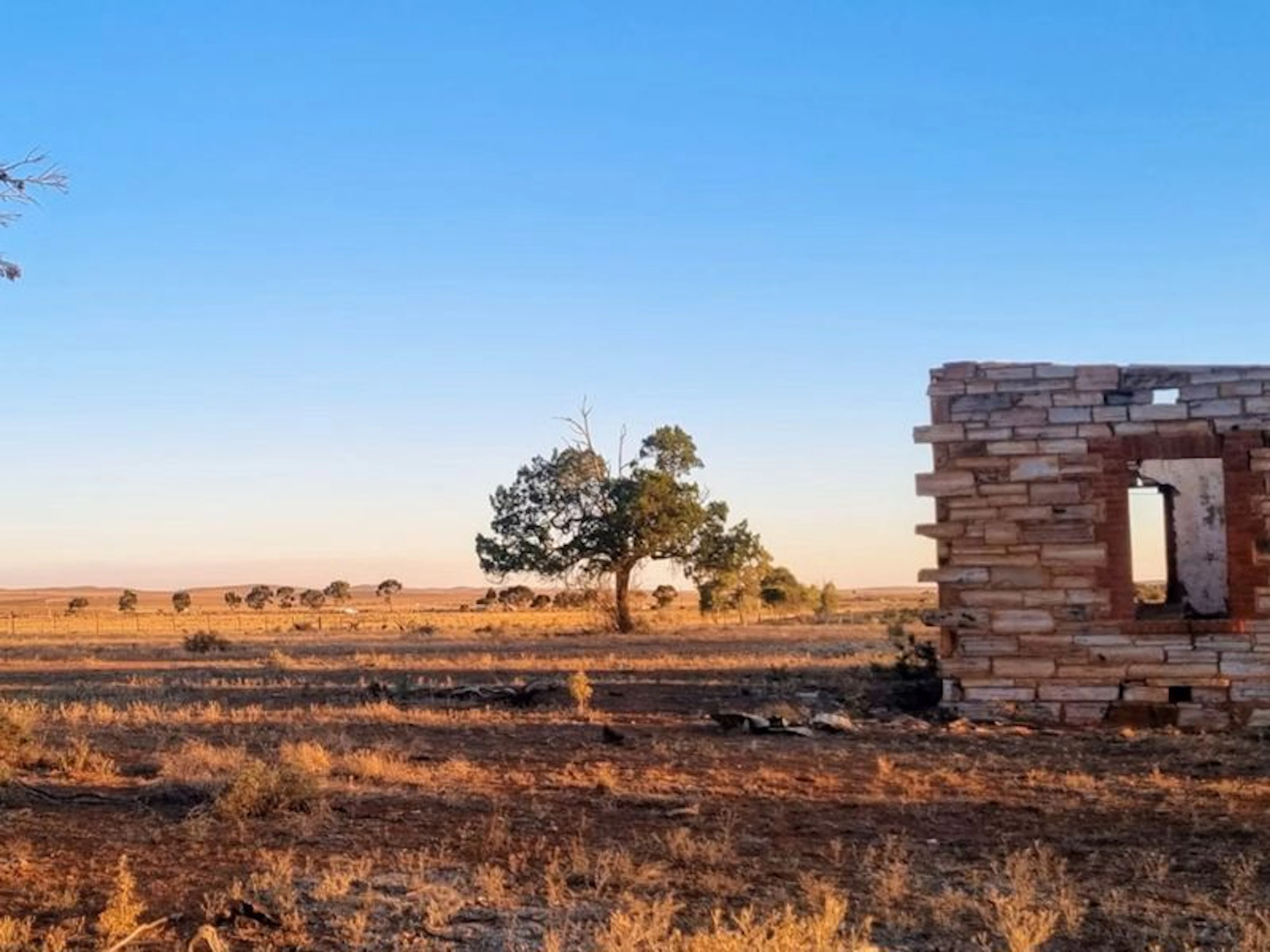 Quentin Park Alpacas and Farm Stay - Image 3