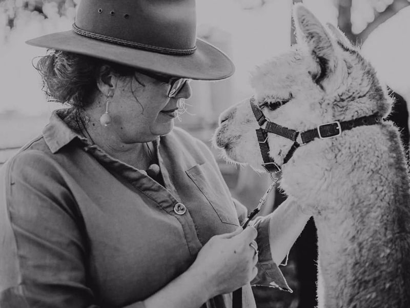 Quentin Park Alpacas and Studio Gallery