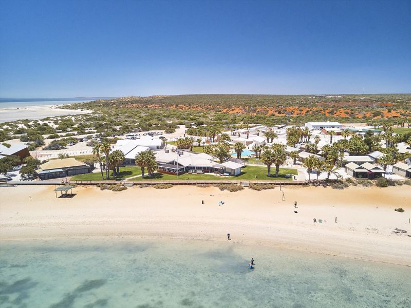 RAC Monkey Mia Dolphin Resort