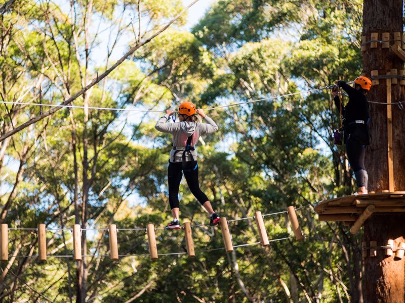 Reflections Holiday Park – Coffs Harbour - Image 5