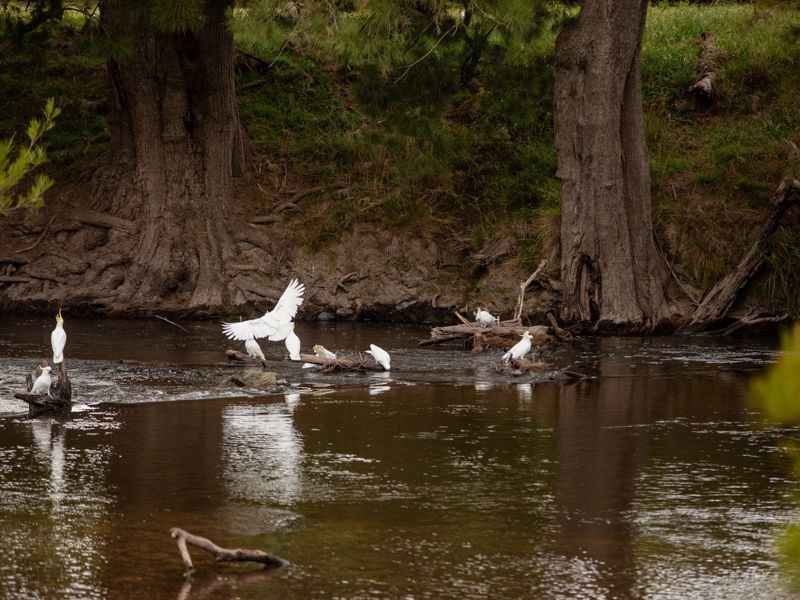 Reflections Holidays Wee Jasper - Image 3