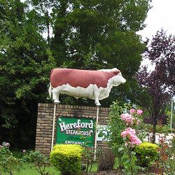 Rest Point Holiday Village - Image 2