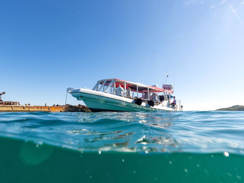 River to Bay - Main image