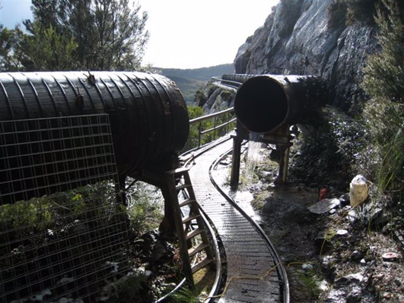 RoamWild Tasmania - Image 4