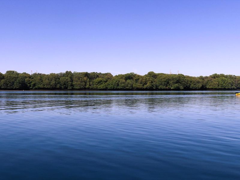 Rock Solid Adventure - Image 4