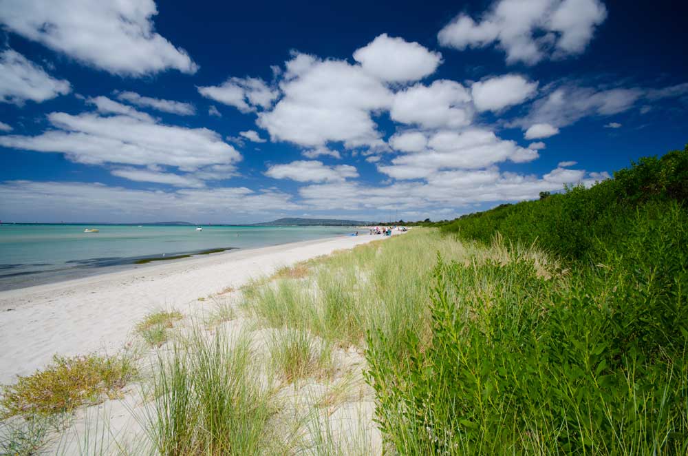 Rye Foreshore Reserve Camping Area - Image 3