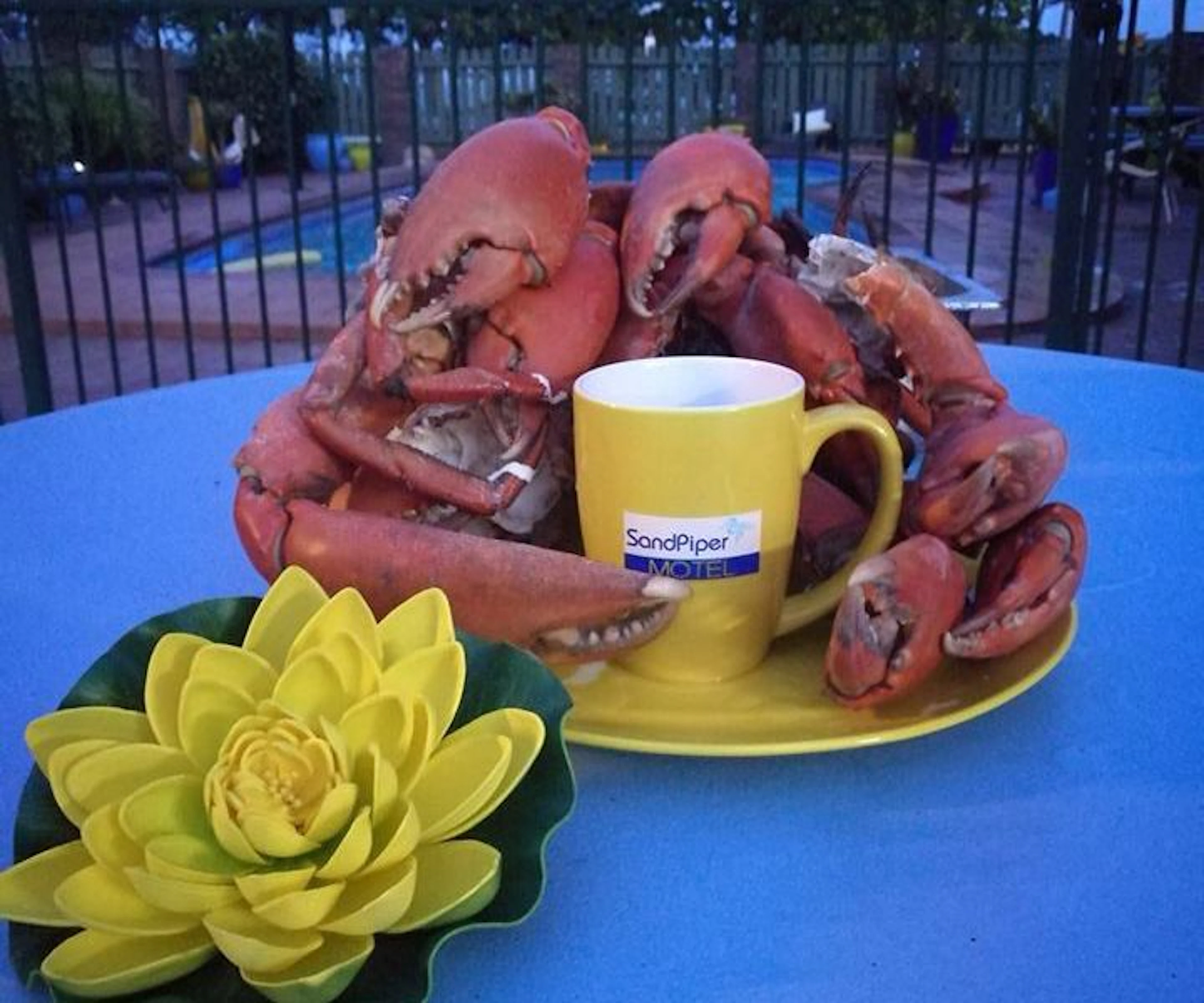 Sandpiper Motel - Image 3