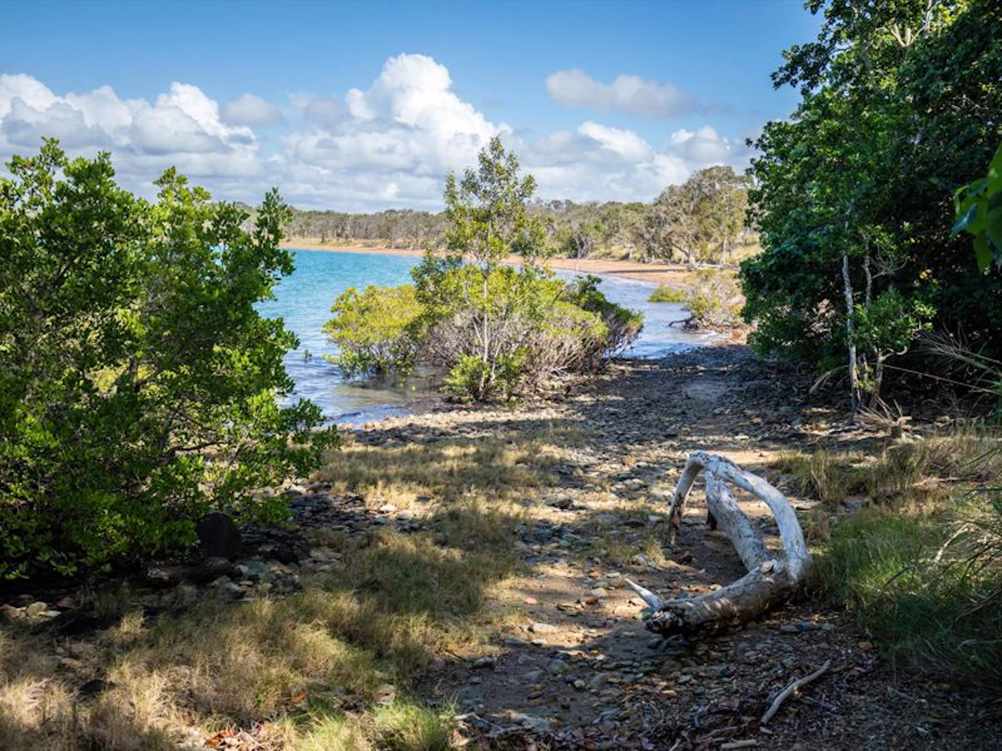 Sandpiper Motel - Image 4