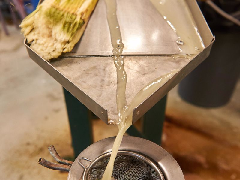 Sarina Sugar Shed - Image 2