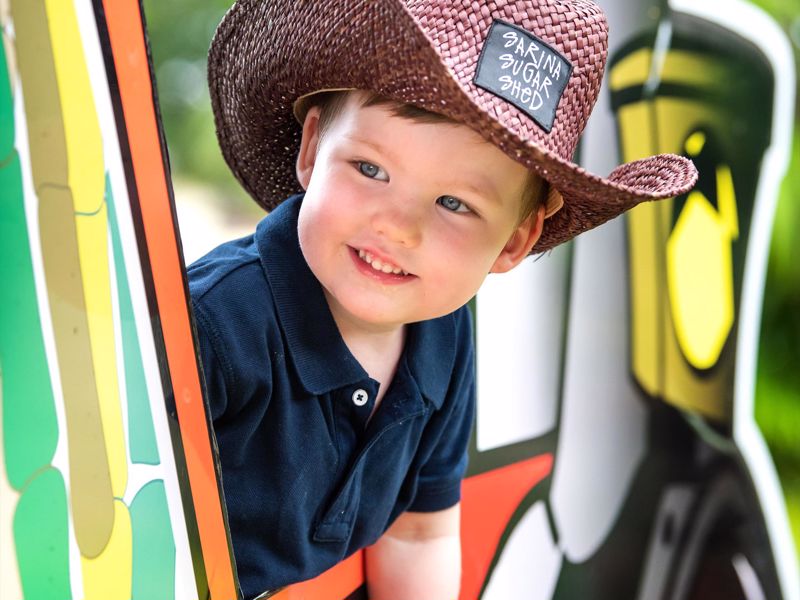 Sarina Sugar Shed - Image 3