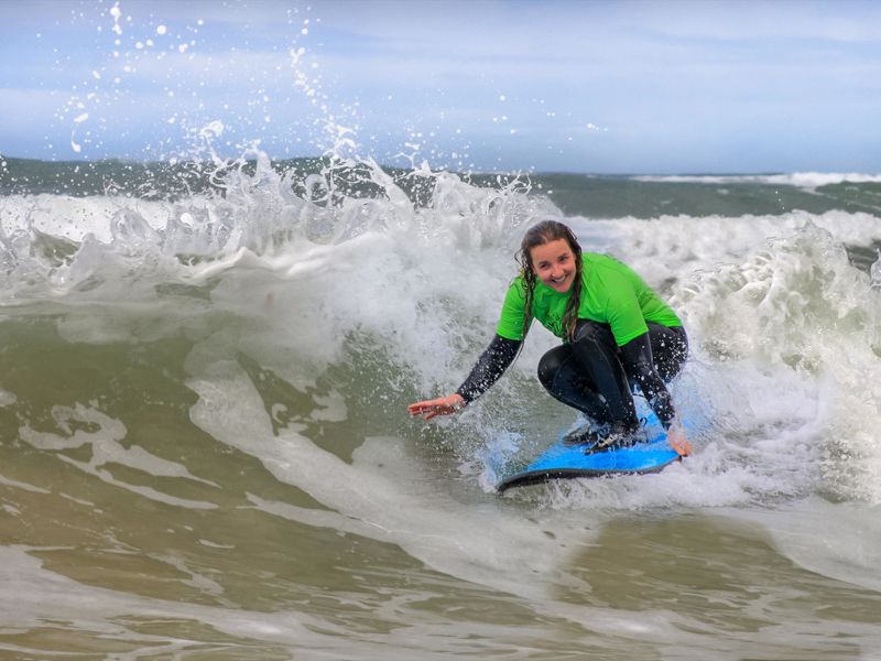 Sea All Dolphin Swims - Image 4