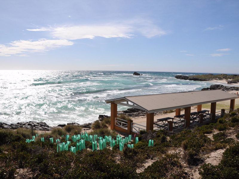 Segway Tours WA - Image 5