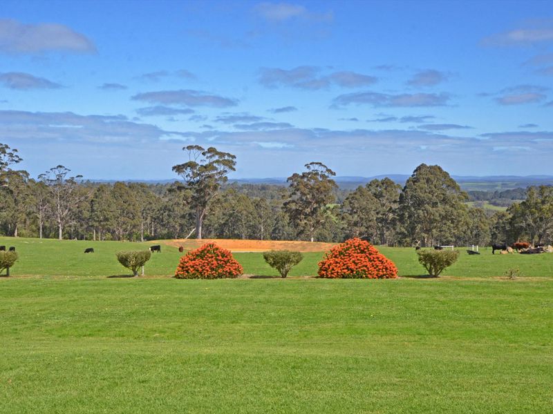 Sensational Heights Bed & Breakfast - Image 2