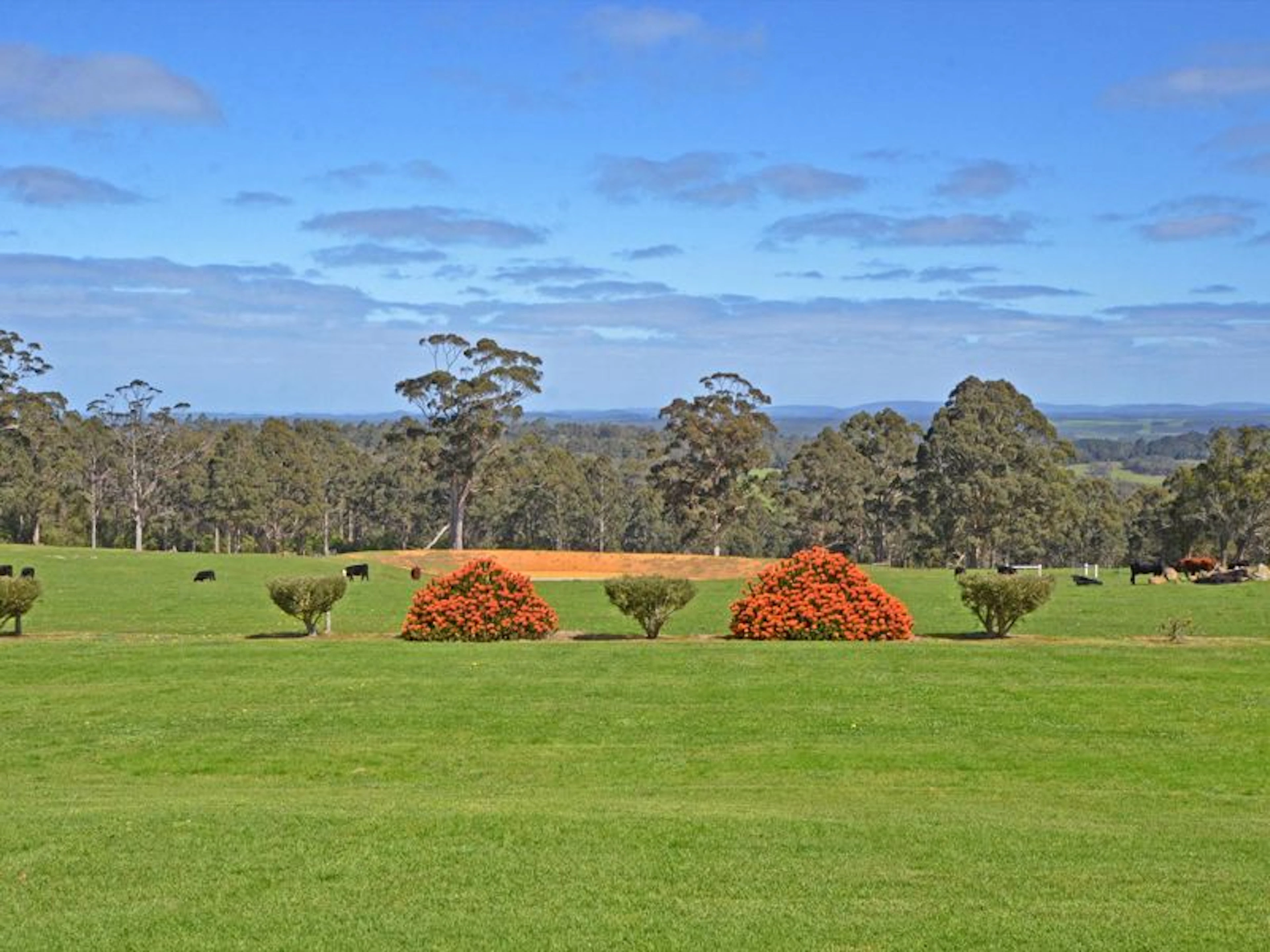 Sensational Heights Bed & Breakfast - Image 2