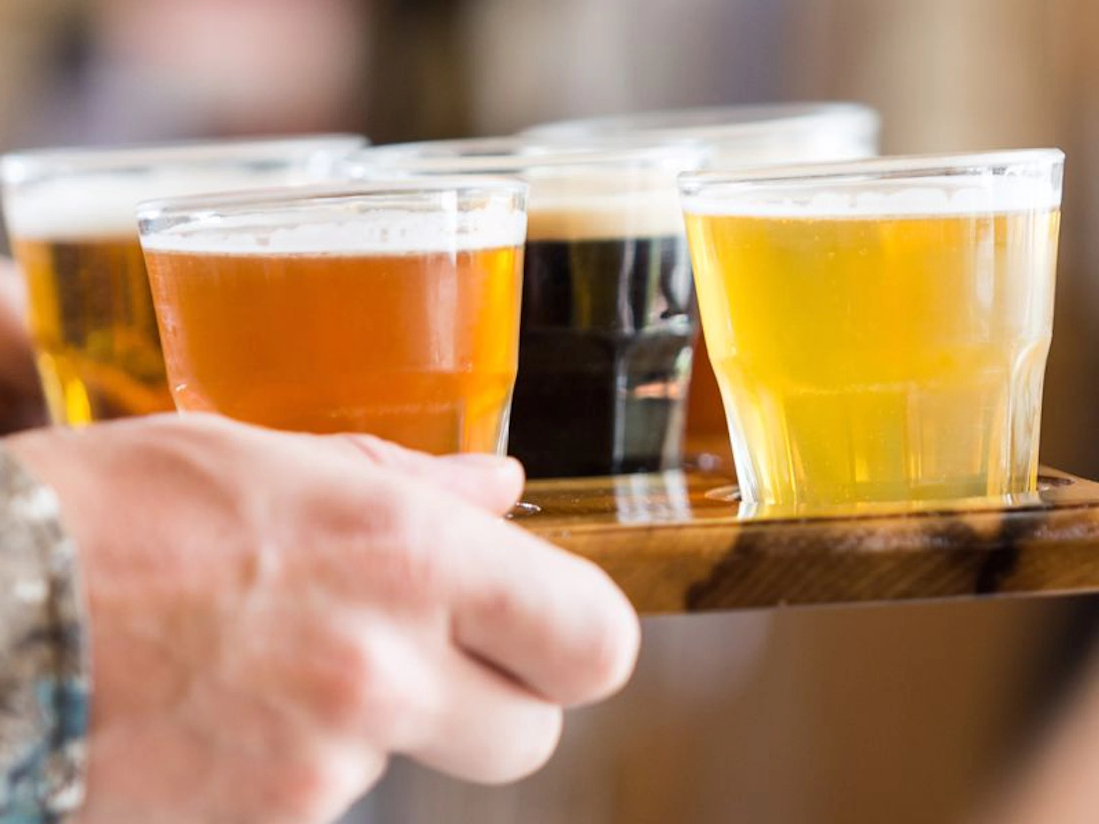 Seven Sheds Brewery Meadery & Hop Garden - Image 2