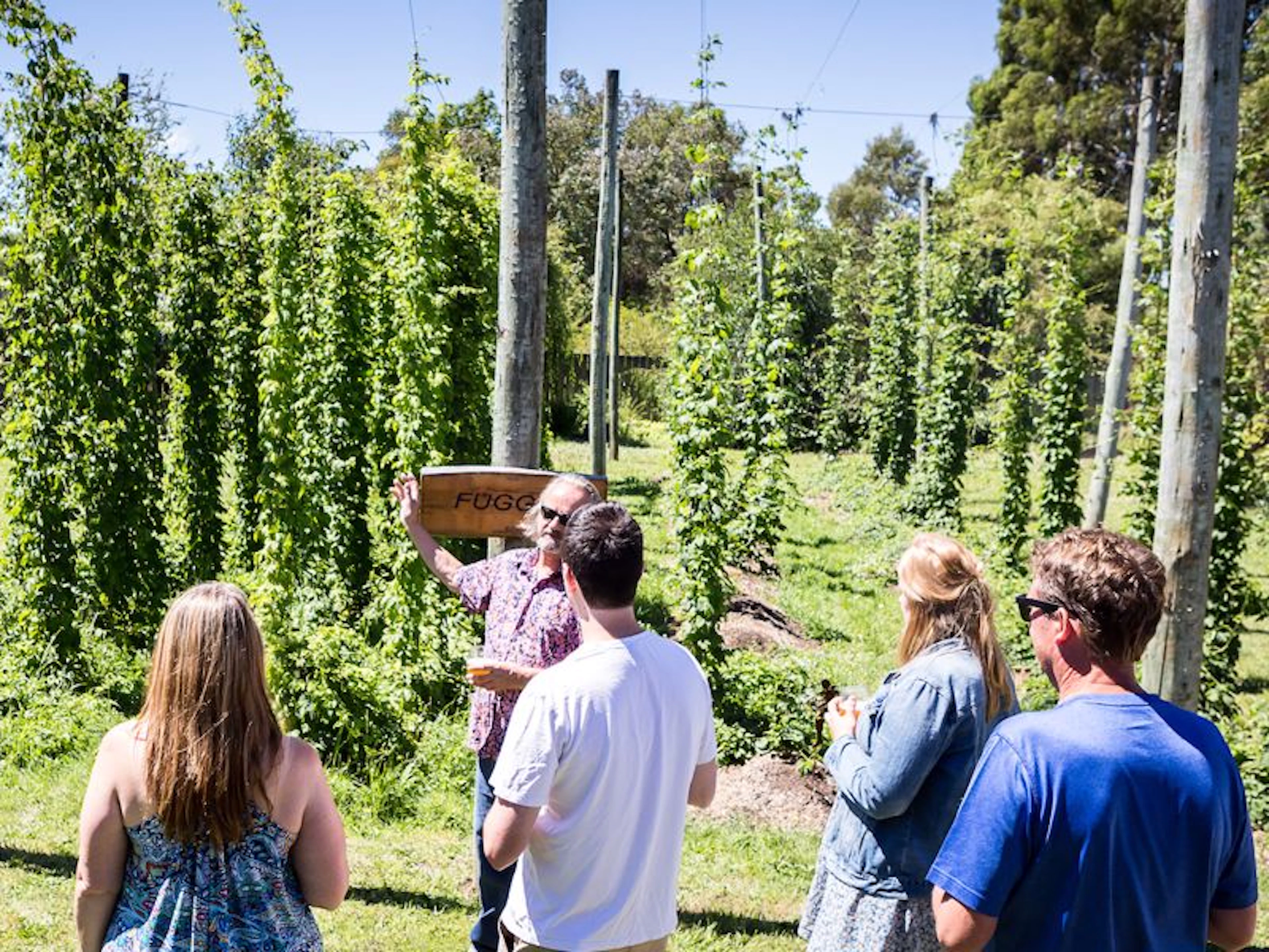 Seven Sheds Brewery Meadery & Hop Garden - Image 3