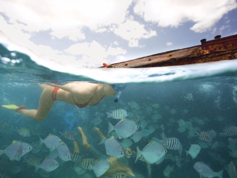 Tangalooma Day Cruises - Image 5