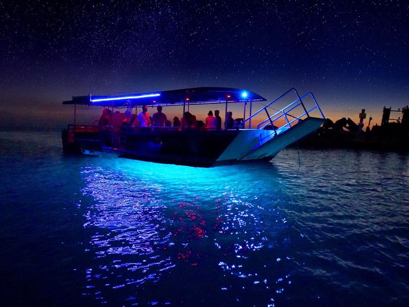 Tangalooma Island Resort - Image 5